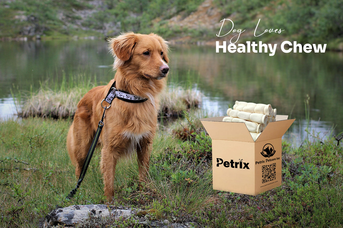 Why Should Wholesalers and Distributors Partner with Petrix Petcare Inc. a dog chew manufacturer?