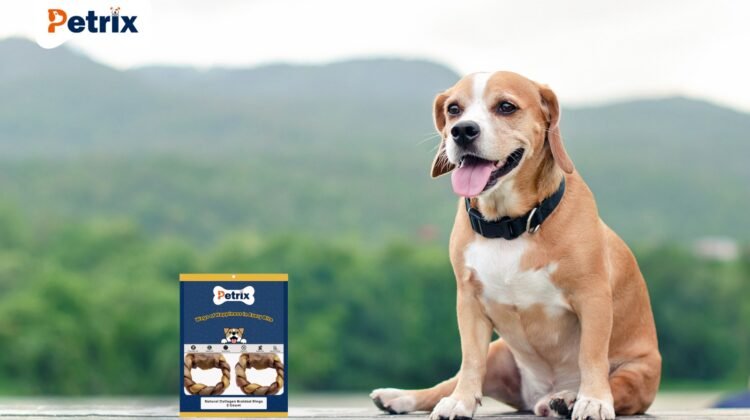 The Science Behind Why Dogs Love Chews and Treats So Much
