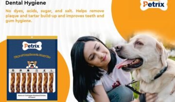 What’s Inside Your Dog’s Favourite Treat? A Guide to Healthy Ingredients