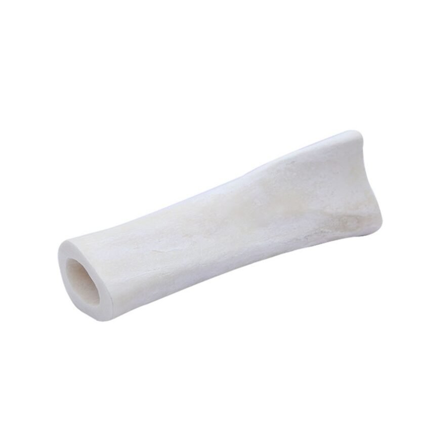 Tibia Bone